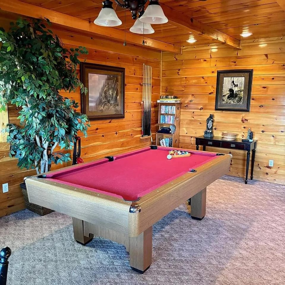 Billiard, Game Room