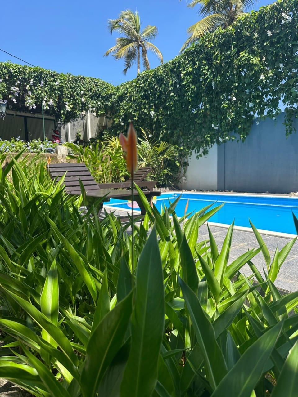 Villa of mirissa Hotel in Mirissa