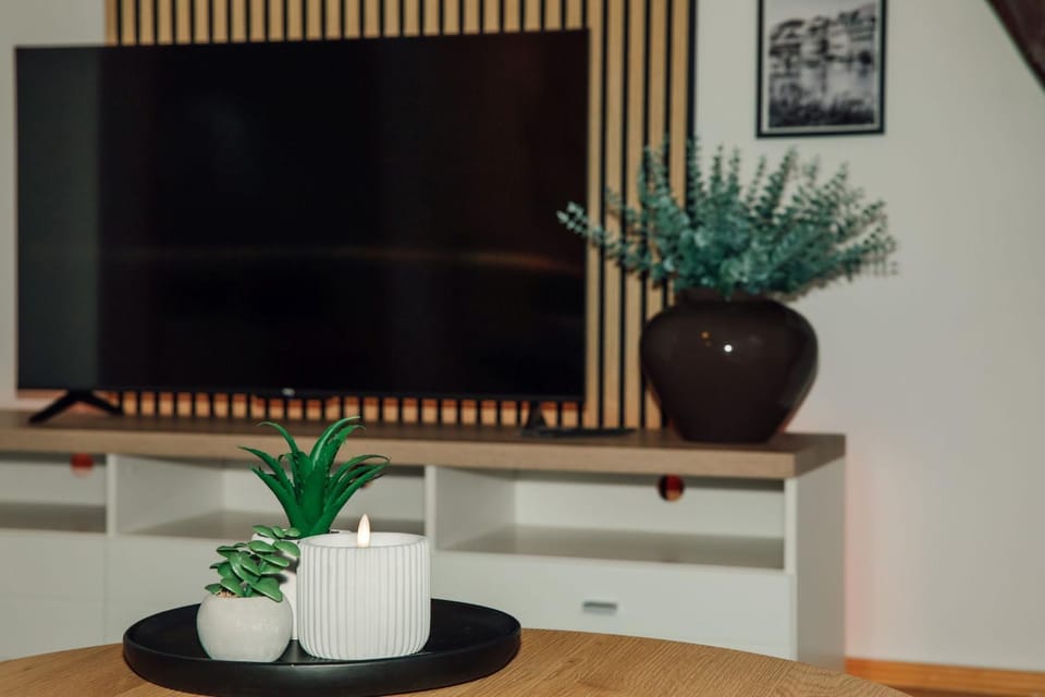 TV and multimedia