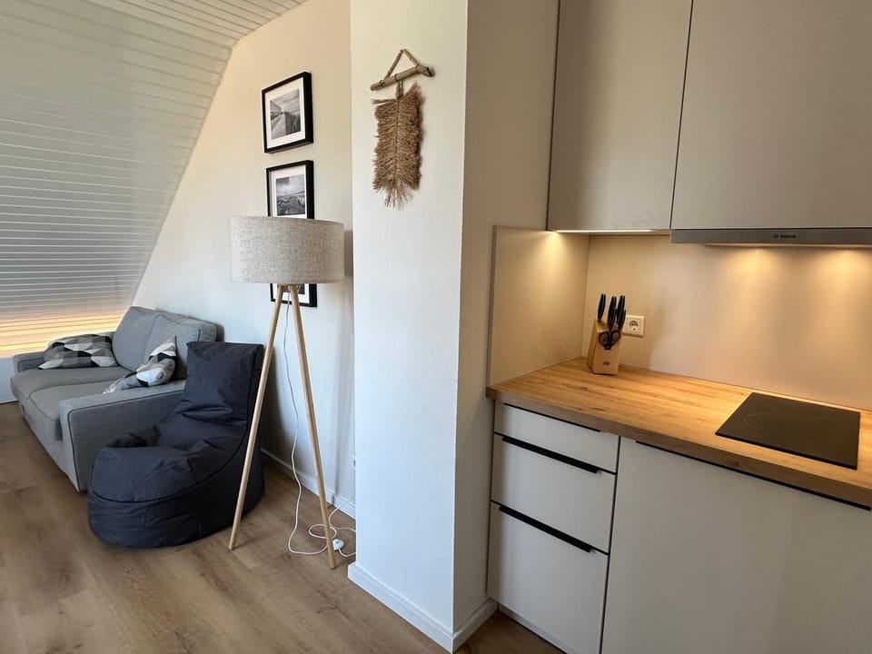 Living room, kitchen
