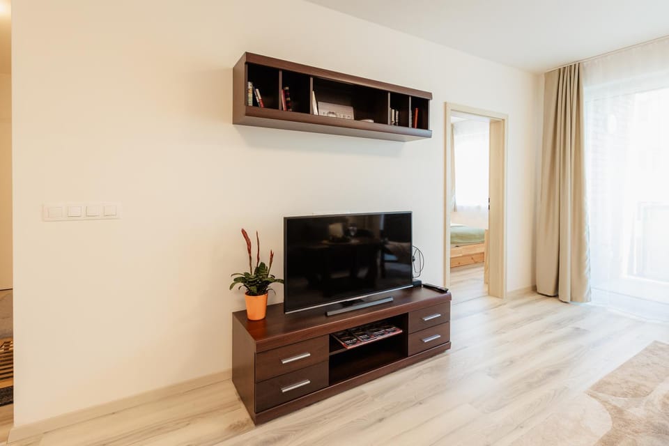TV and multimedia