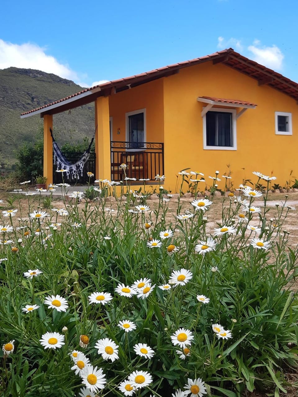 Property building, Garden view, Mountain view
