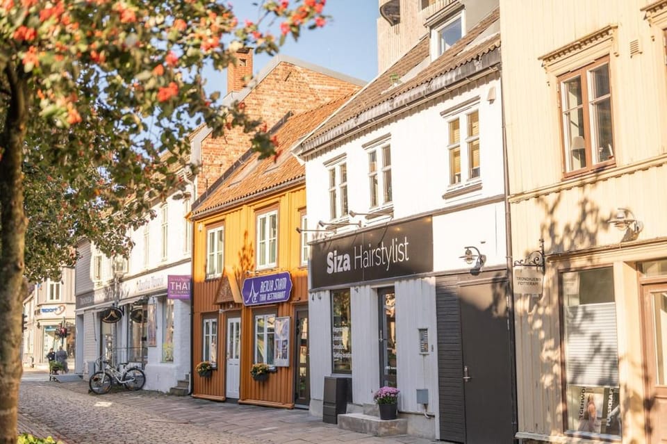 Elegant 1-Bed Apt in City Centre Apartment in Trondheim
