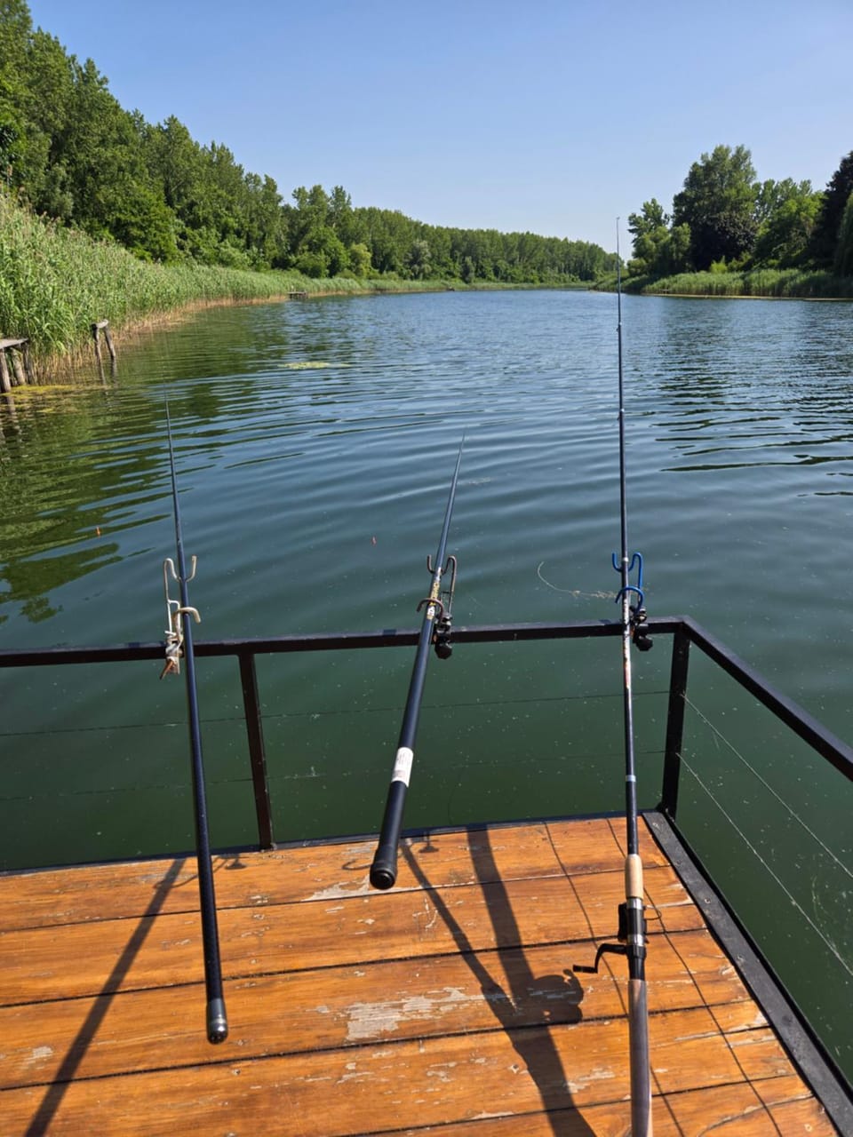 Vikendica Kendjija, Splav Cunamiii Docked boat in Vojvodina