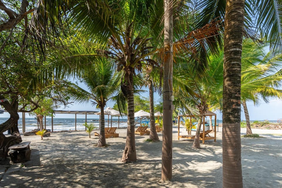 Beach, Sea view
