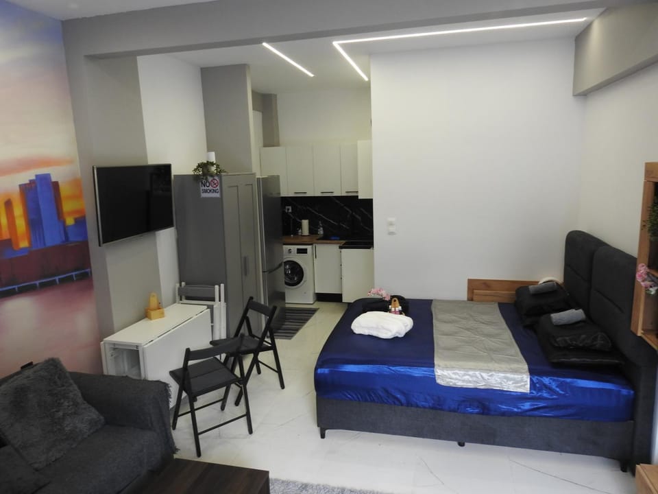 Bed, TV and multimedia, Kitchen or kitchenette, Living room, Photo of the whole room, Seating area, Dining area, Bedroom