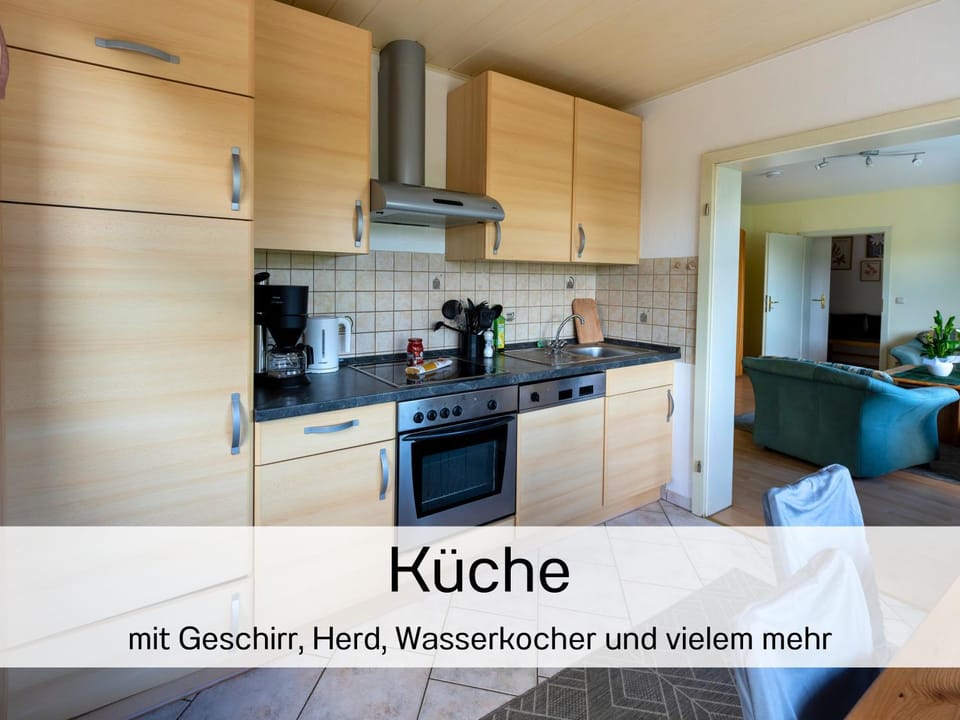 Kitchen or kitchenette, dishwasher, stove