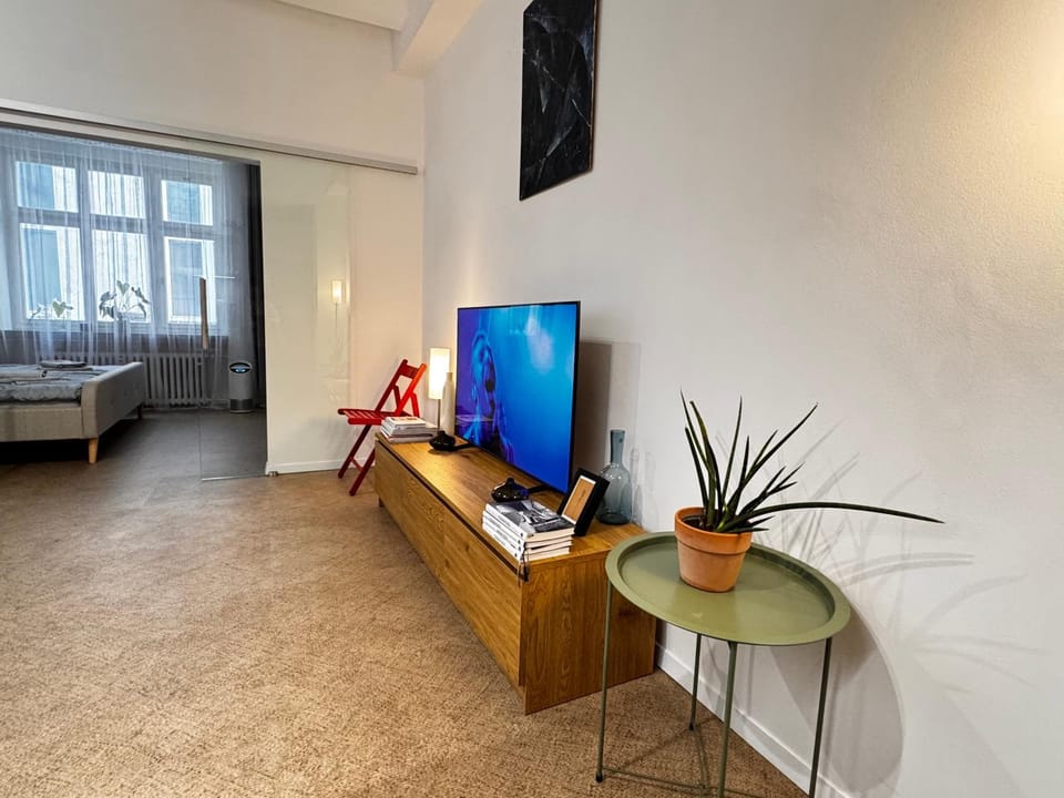 Riverside central apartment Apartment in Prague