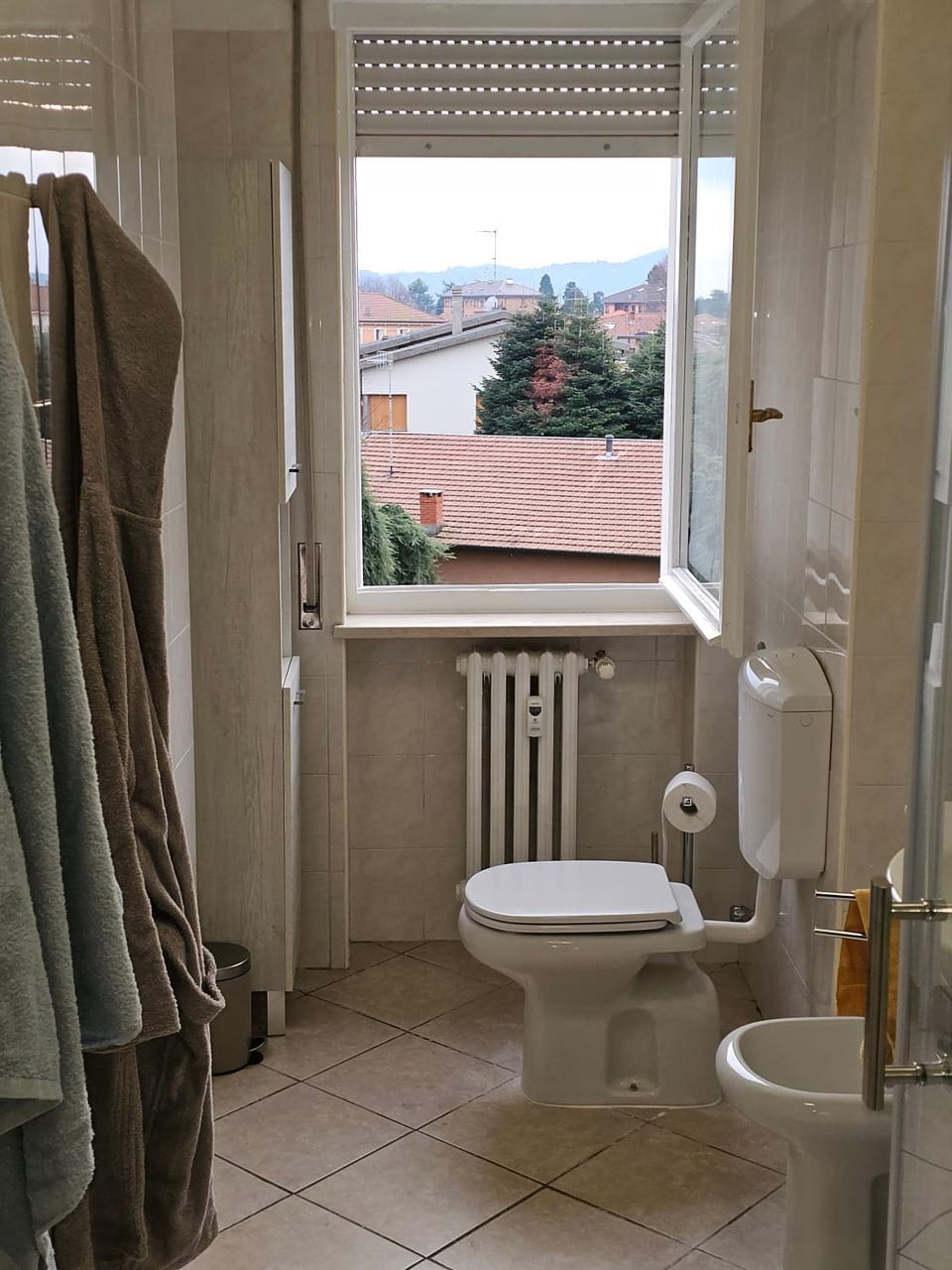 Shower, Toilet, bidet, towels