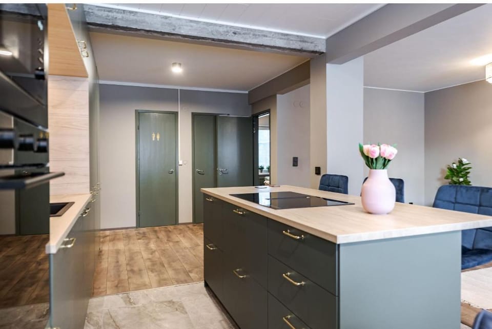 Täysin remontoitu upea asunto Tampereen sydämessä Apartment in Finland