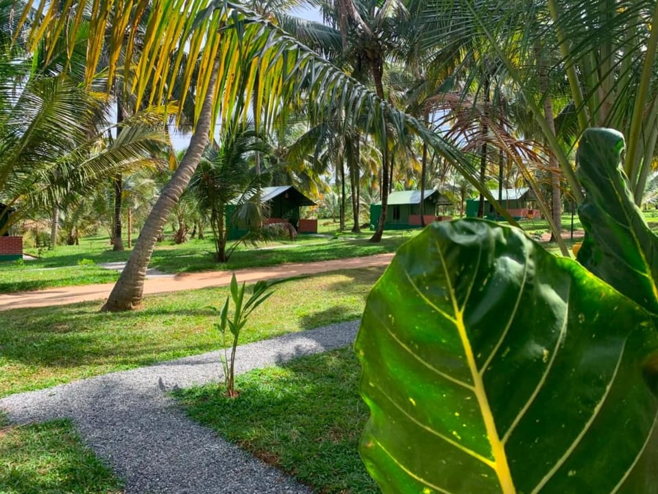 Property building, Garden, Garden view, Garden view