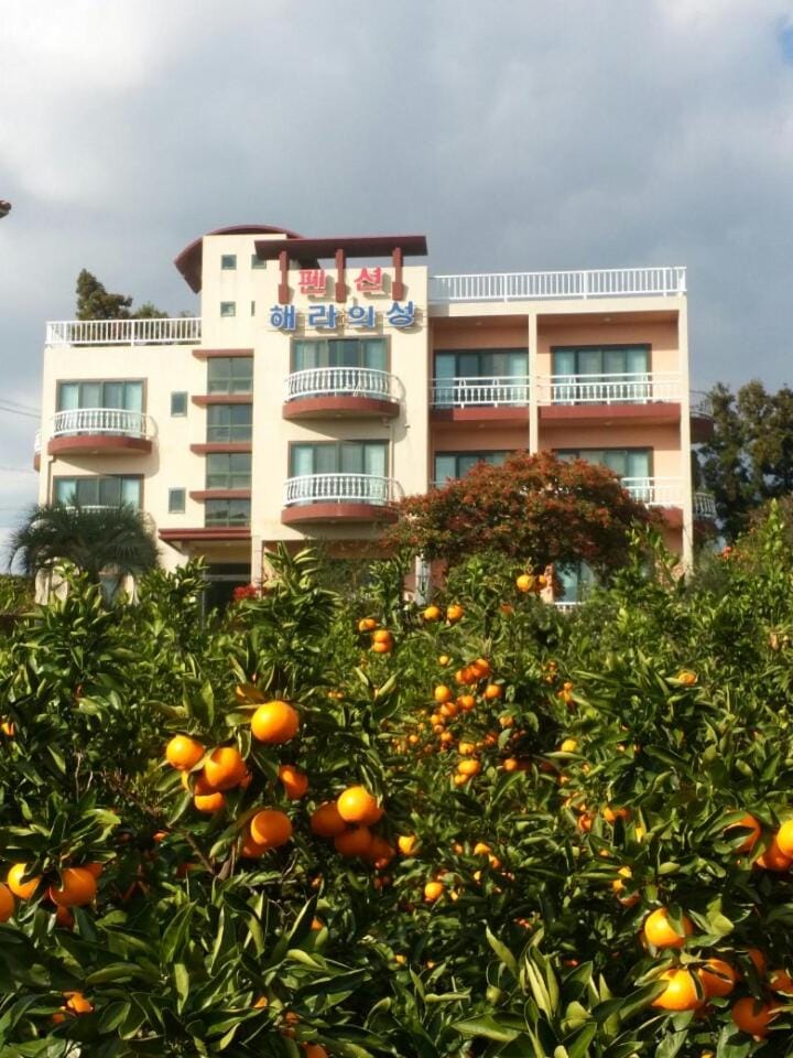 Hera Castle Pension House in South Korea