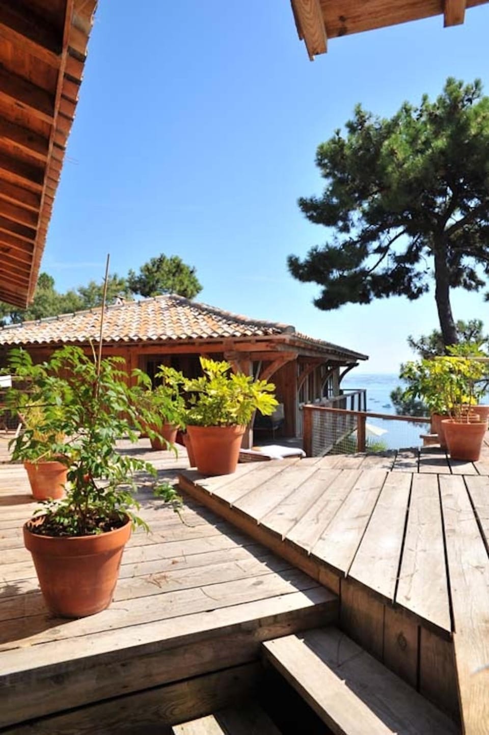 Patio, Natural landscape