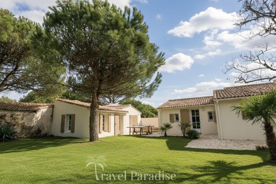 Patio, Garden, Garden view