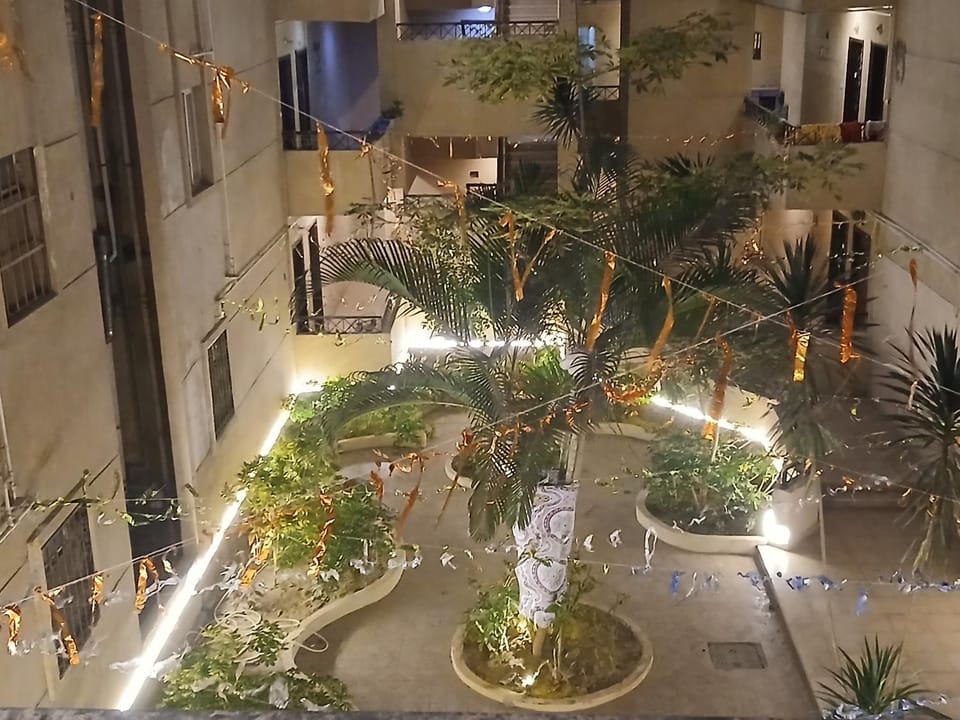 Night, Garden, Garden view