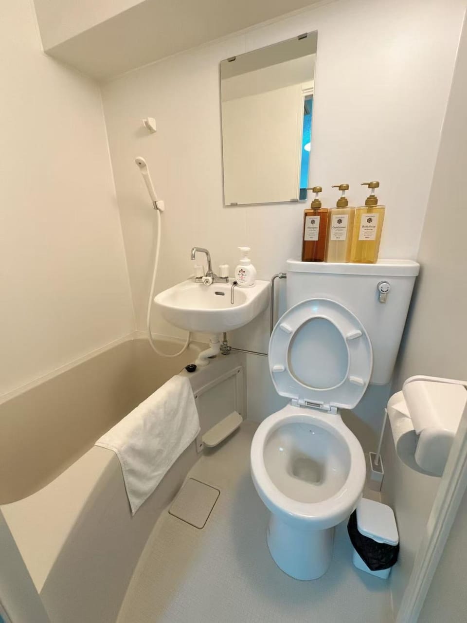 Toilet, Bathroom