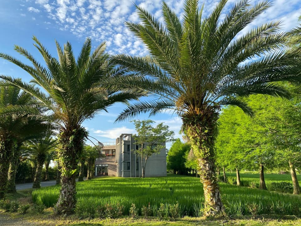 Property building, Spring, Day, Natural landscape, Garden, Garden view