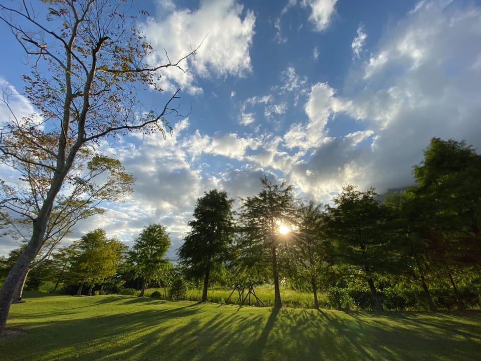Spring, Day, Natural landscape, Garden, Garden view, Sunrise, Sunset