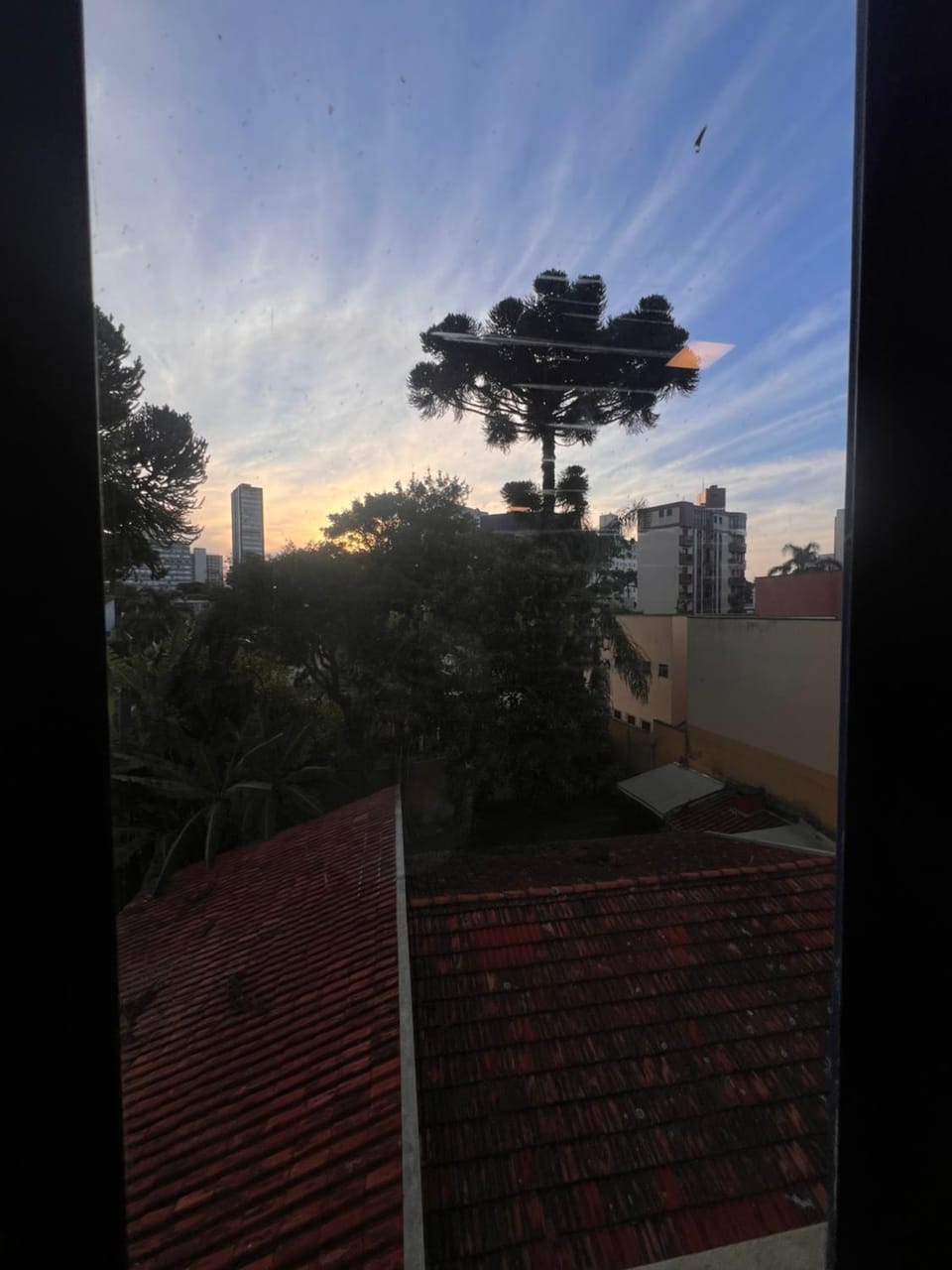 Alto da XV near everything! Best of Curitiba! Apartment in Curitiba