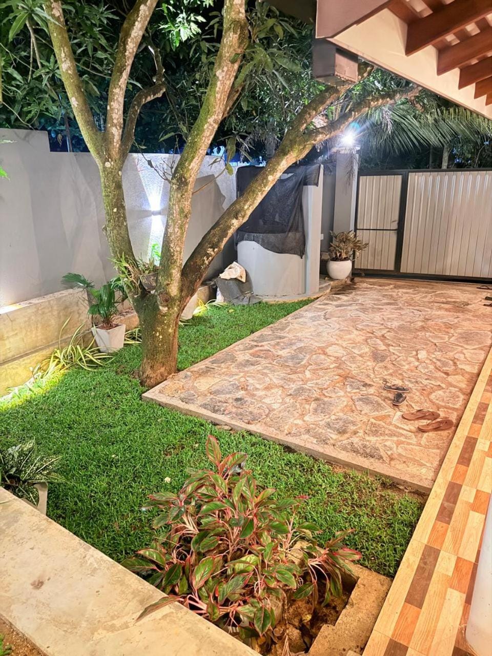 Night, Garden, Garden view