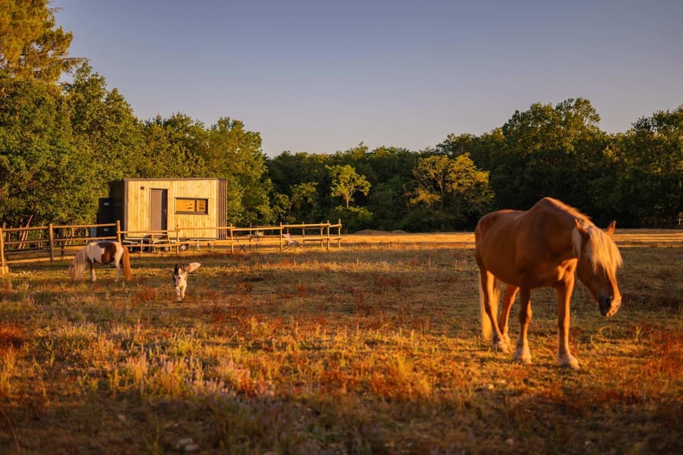 Homnest - Clairiere des Animaux - 1h de Toulouse House in Occitanie