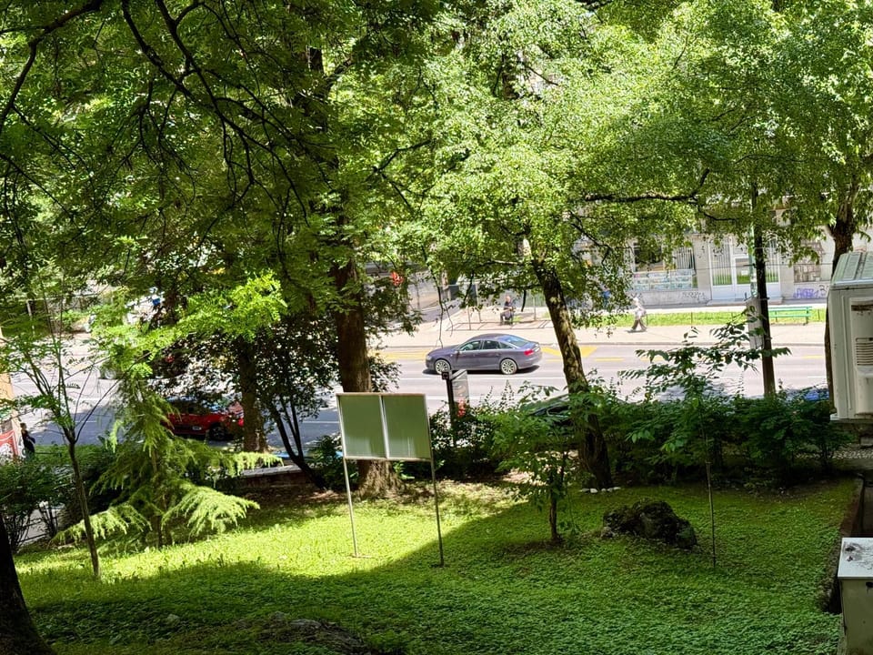 Garden view
