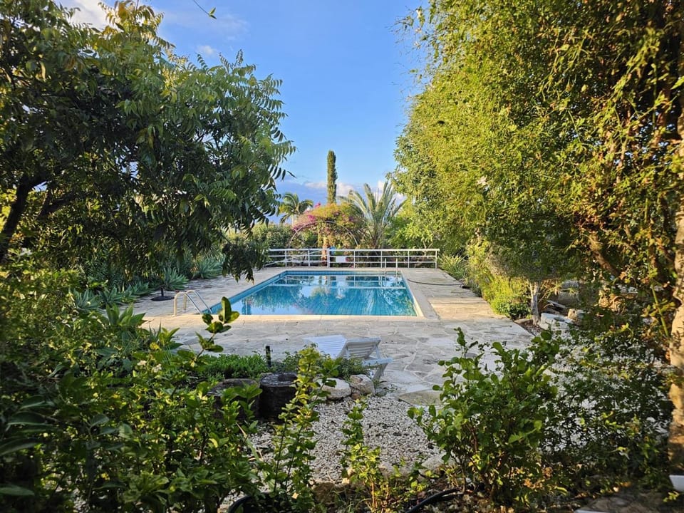Natural landscape, Garden, Garden, Garden view, Pool view, Swimming pool