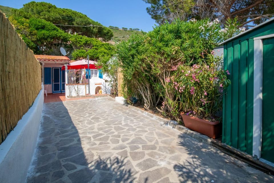 Property building, Patio, Inner courtyard view