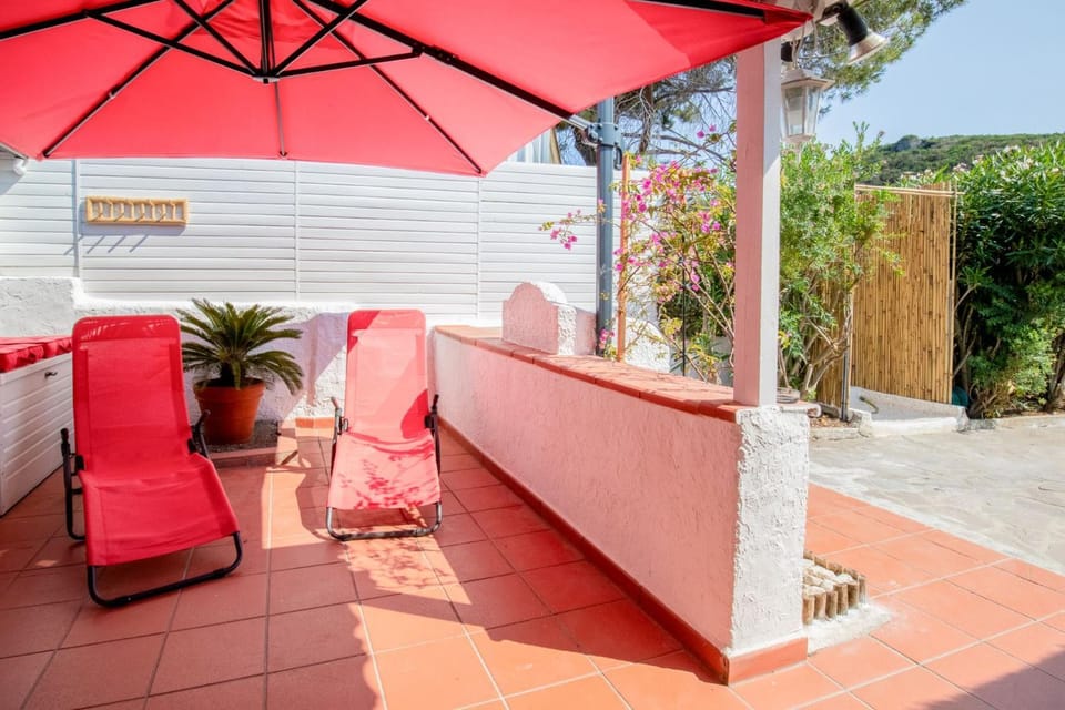 Patio, Garden view, sunbed