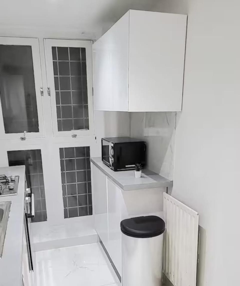 Homely 2 Bedroom Apartment in Canary Wharf Apartment in London