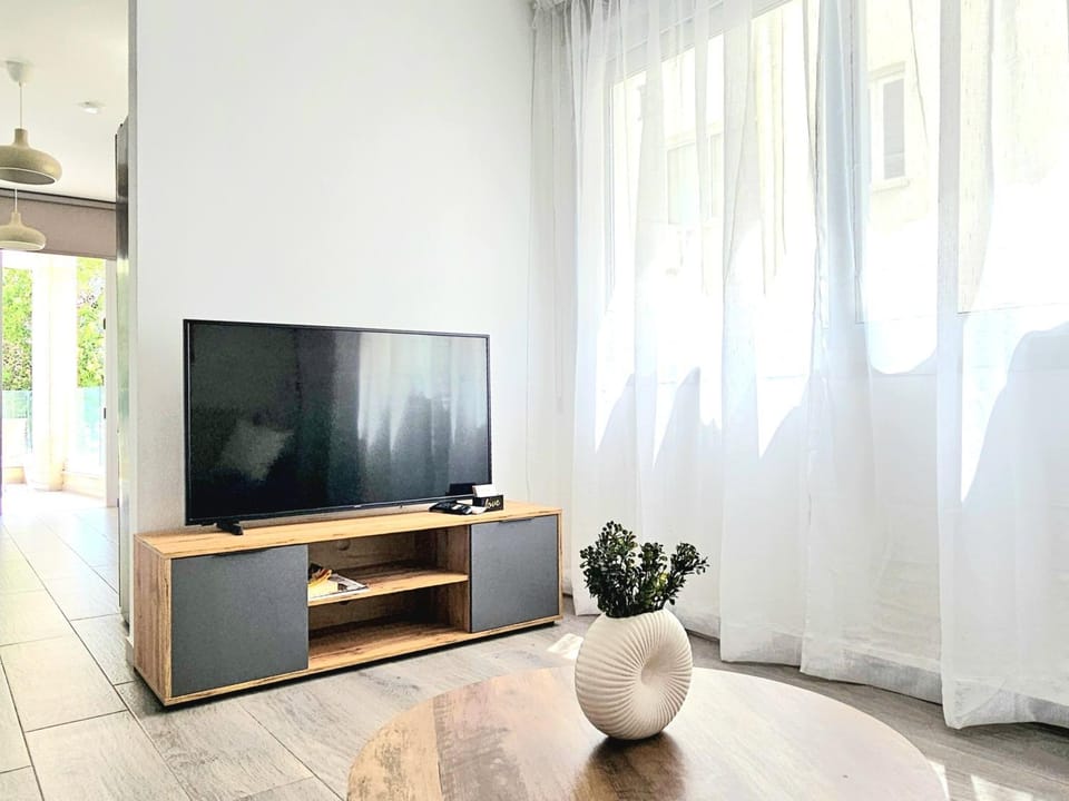 TV and multimedia
