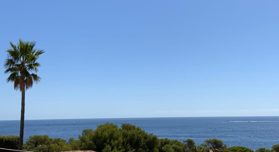 Paradis bleu Apartment in Saint-Raphael