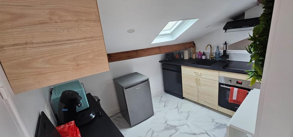 Kitchen or kitchenette, dishwasher, minibar, oven, stove