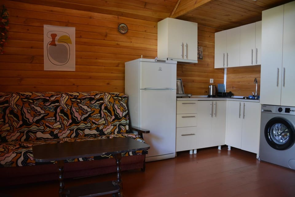 Living room, kitchen