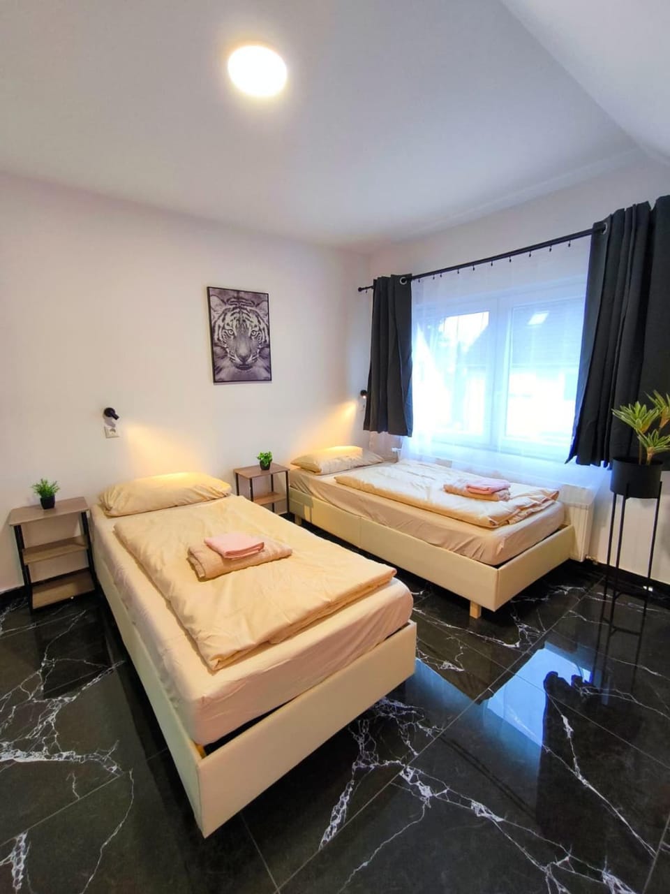 Schwert City Loft S72 free Parking & WIFI Apartment in Lower Saxony, Germany