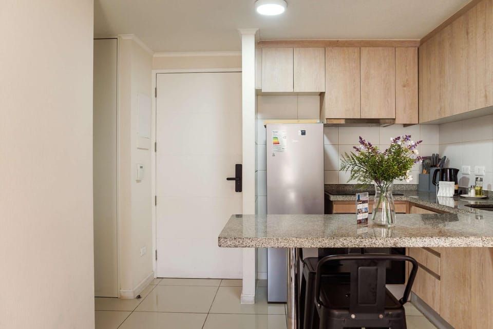 Your Home in Santiago Cozy and Local Apartment Apartment in Santiago