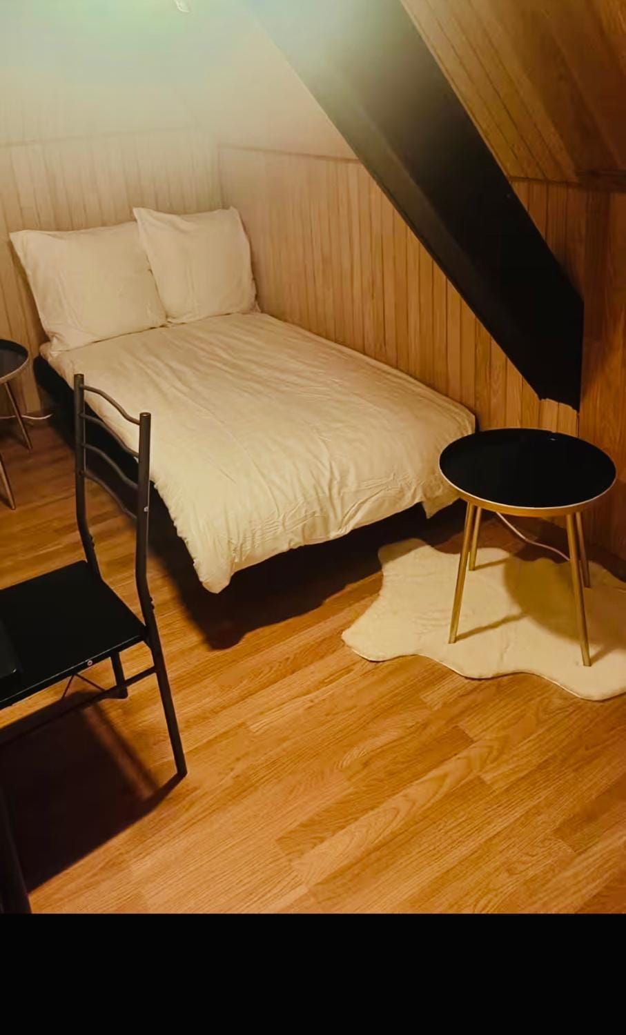 Maison de maitre a Strasbourg illkirch 3 chambres Apartment in Illkirch-Graffenstaden