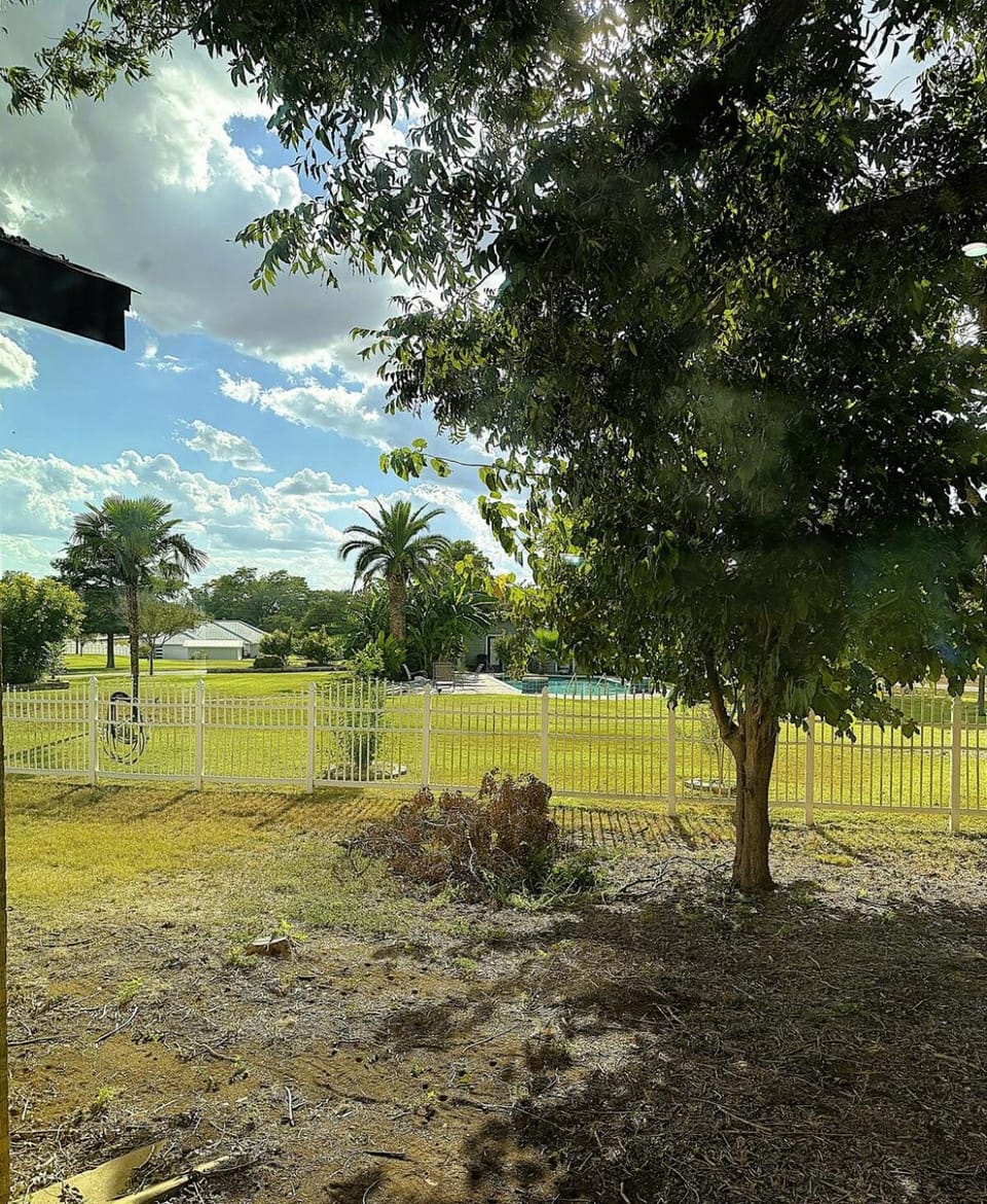 Day, Garden view