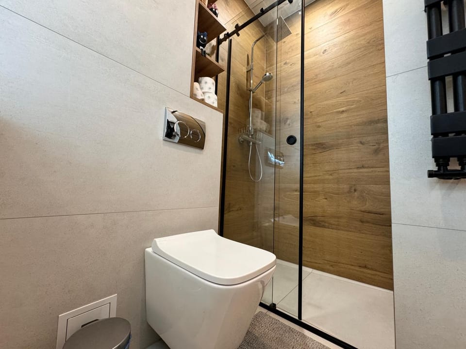Shower, Toilet