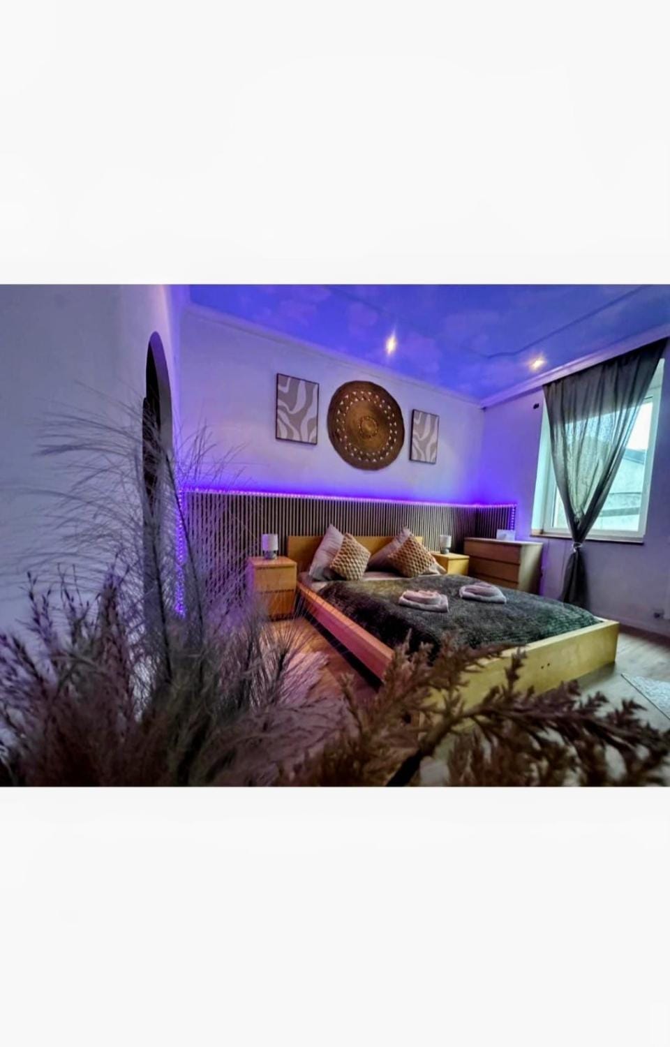 Honor Nest NEU Apartment in Linz