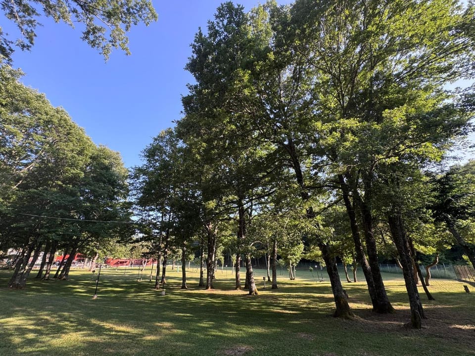 Natural landscape, Garden, Garden view