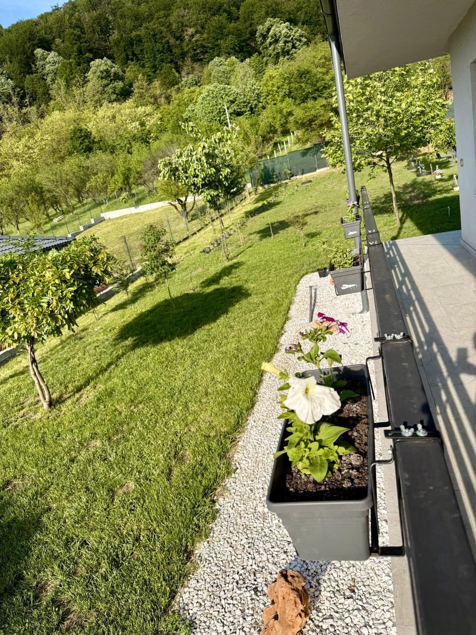 Valmaris Villa in Romania