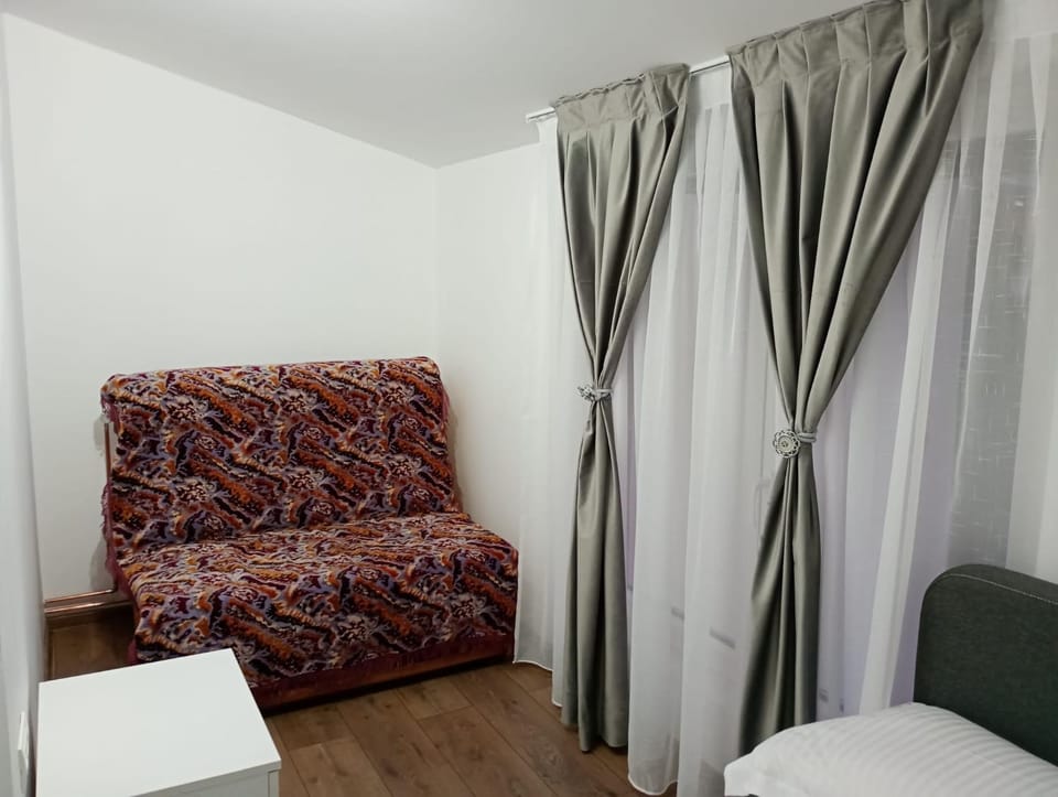 Apartament Adelina Borsa Apartment in Romania