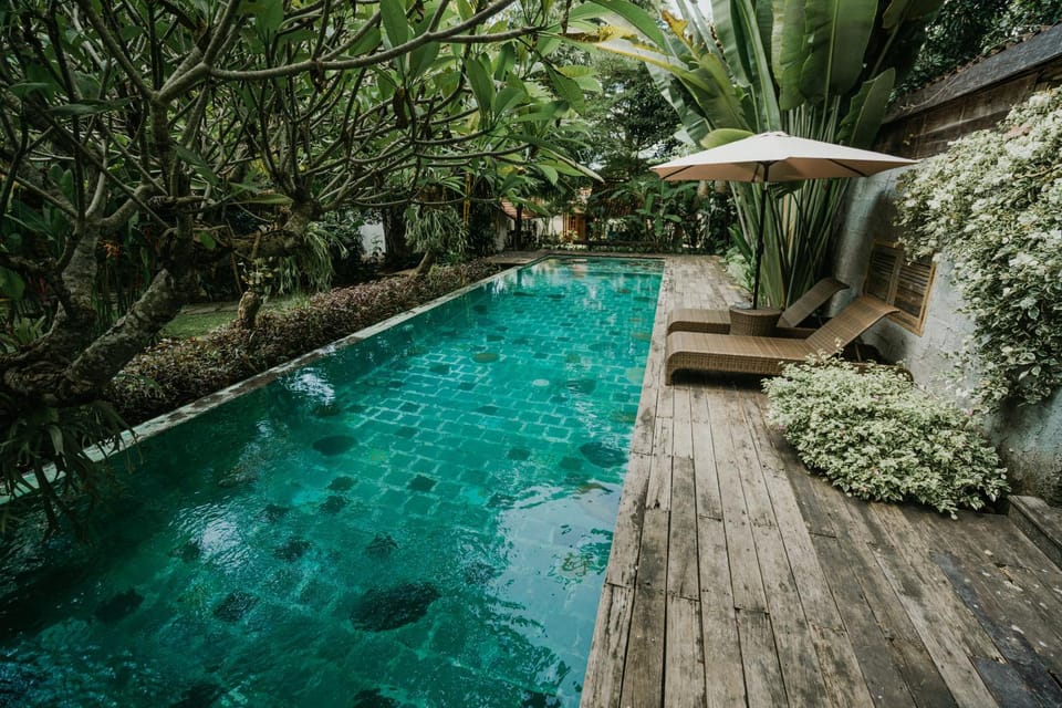 Garden, Swimming pool, sunbed