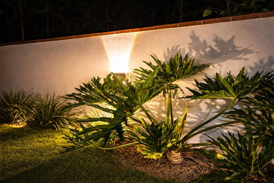 Night, Garden, Garden view