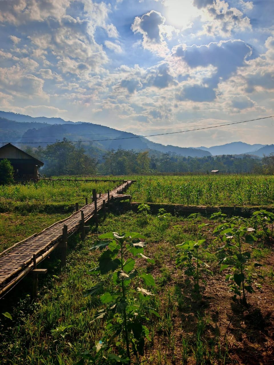 Phathokcamping Luxury tent in Luang Prabang Province, Laos