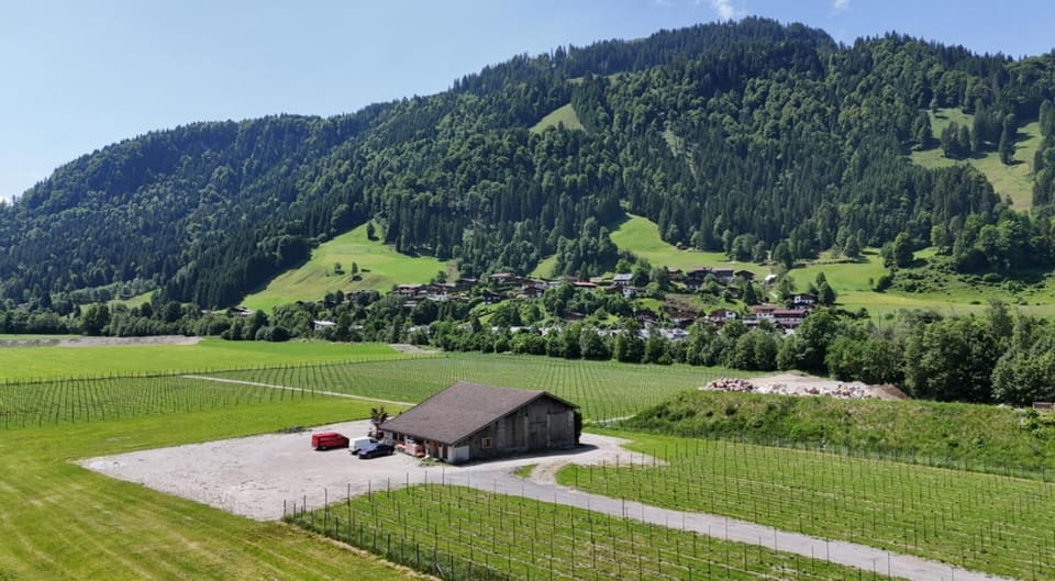 Stay at Hans Frauenschuh ALTE GERBEREI Apartment in Kitzbuhel