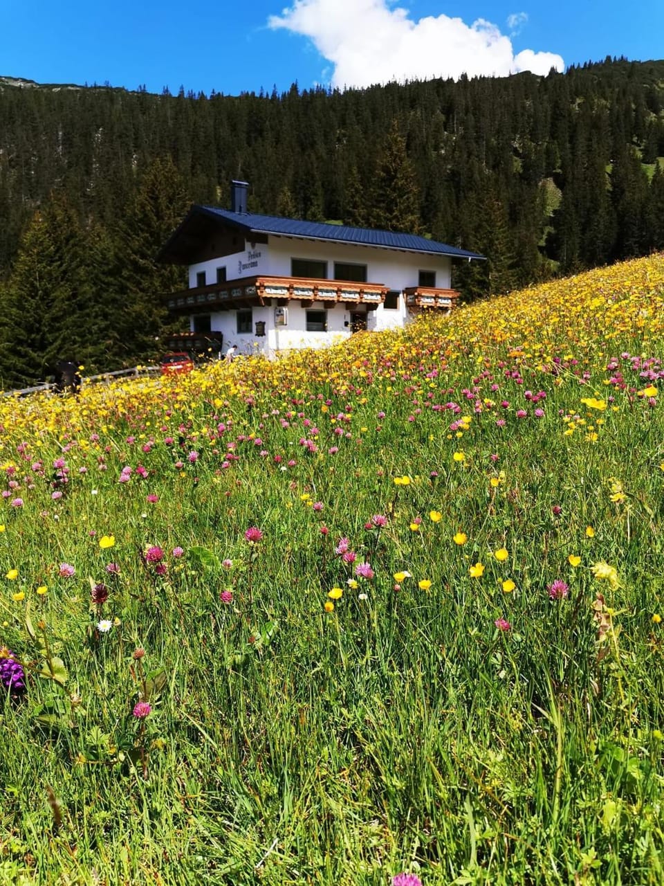 Pension Panorama Warth Bed and Breakfast in Vorarlberg, Austria