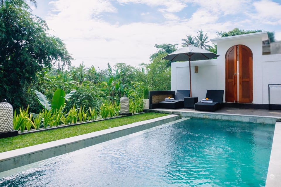 Pool view, Swimming pool, sunbed