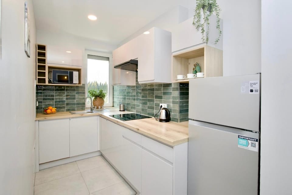 Kitchen or kitchenette, dishwasher, stove